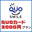 《出張応援》 経費を無駄なく♪　◆クオカード3000円付プラン◆　【素泊り】